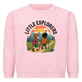 Image for color: pink